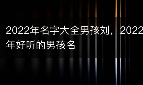 2022年名字大全男孩刘，2022年好听的男孩名