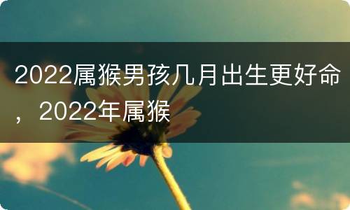 2022属猴男孩几月出生更好命，2022年属猴