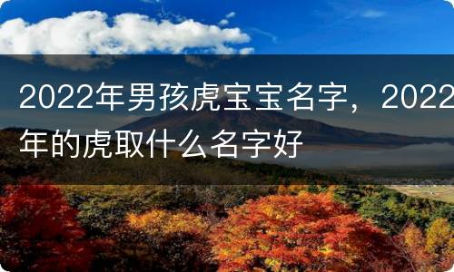 2022年男孩虎宝宝名字，2022年的虎取什么名字好