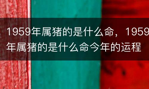 1959年属猪的是什么命，1959年属猪的是什么命今年的运程