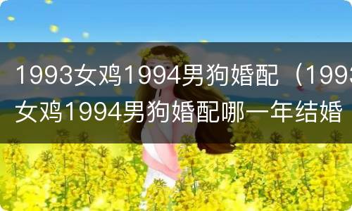 1993女鸡1994男狗婚配（1993女鸡1994男狗婚配哪一年结婚好）
