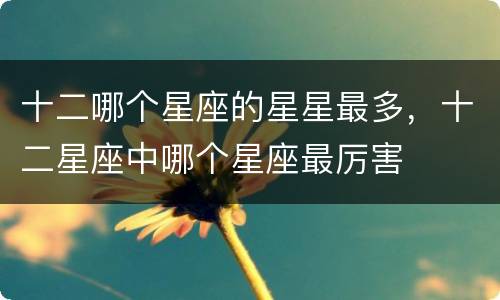 十二哪个星座的星星最多，十二星座中哪个星座最厉害