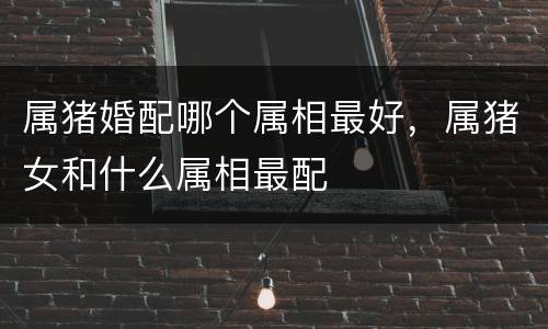 属猪婚配哪个属相最好，属猪女和什么属相最配