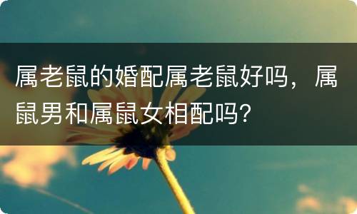 属老鼠的婚配属老鼠好吗，属鼠男和属鼠女相配吗？