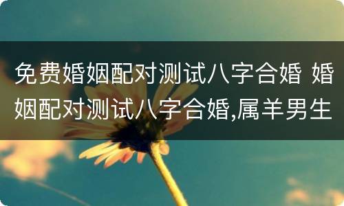 免费婚姻配对测试八字合婚 婚姻配对测试八字合婚,属羊男生