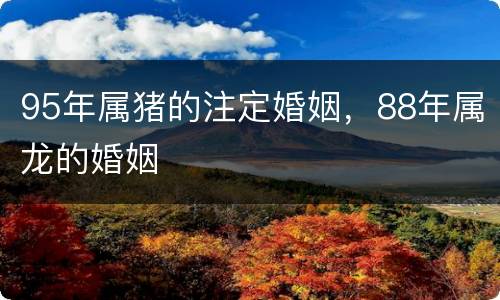 95年属猪的注定婚姻，88年属龙的婚姻