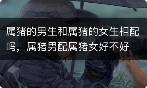 属猪的男生和属猪的女生相配吗，属猪男配属猪女好不好