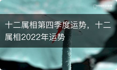 十二属相第四季度运势，十二属相2022年运势
