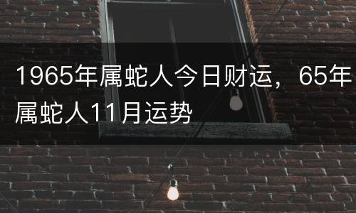 1965年属蛇人今日财运，65年属蛇人11月运势