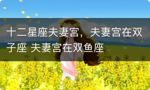 十二星座夫妻宫，夫妻宫在双子座 夫妻宫在双鱼座