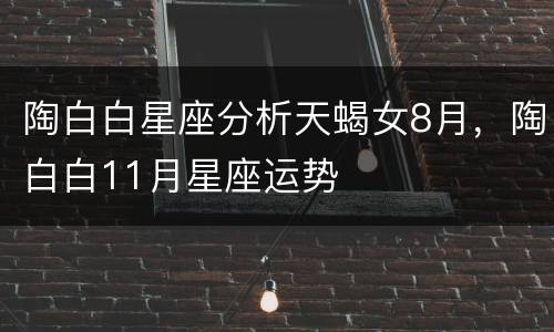 陶白白星座分析天蝎女8月，陶白白11月星座运势