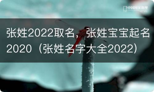 张姓2022取名，张姓宝宝起名2020（张姓名字大全2022）