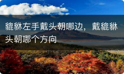 貔貅左手戴头朝哪边，戴貔貅头朝哪个方向
