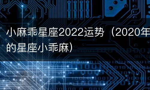 小麻乖星座2022运势（2020年的星座小乖麻）