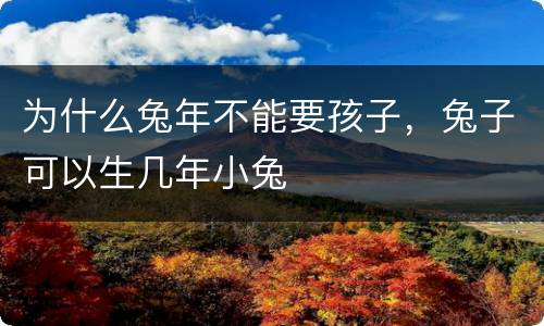 为什么兔年不能要孩子，兔子可以生几年小兔