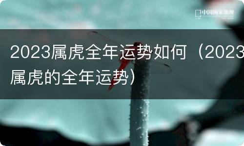2023属虎全年运势如何（2023属虎的全年运势）