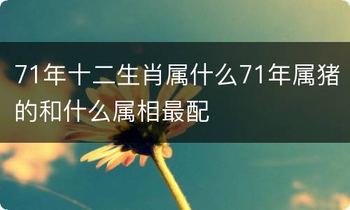 71年十二生肖属什么71年属猪的和什么属相最配