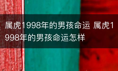 属虎1998年的男孩命运 属虎1998年的男孩命运怎样