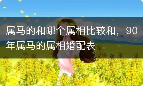 属马的和哪个属相比较和，90年属马的属相婚配表