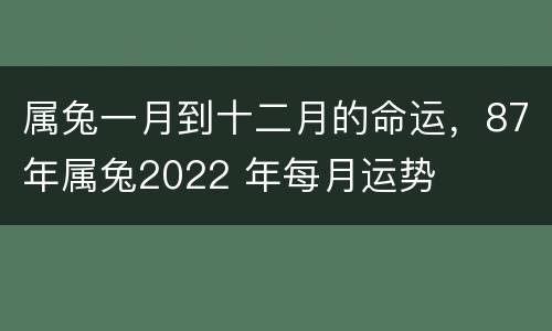 属兔一月到十二月的命运，87年属兔2022 年每月运势