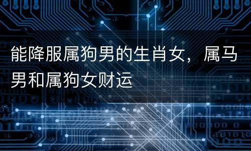 能降服属狗男的生肖女，属马男和属狗女财运