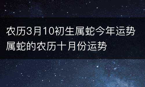 农历3月10初生属蛇今年运势 属蛇的农历十月份运势
