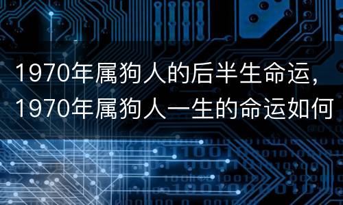 1970年属狗人的后半生命运，1970年属狗人一生的命运如何