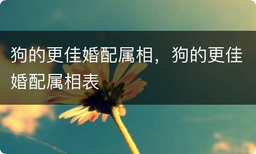 狗的更佳婚配属相，狗的更佳婚配属相表