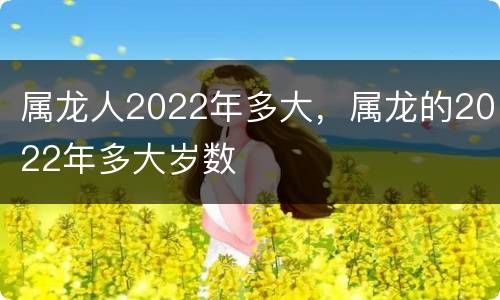 属龙人2022年多大，属龙的2022年多大岁数