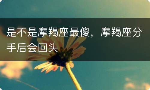 是不是摩羯座最傻，摩羯座分手后会回头