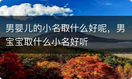 男婴儿的小名取什么好呢，男宝宝取什么小名好听