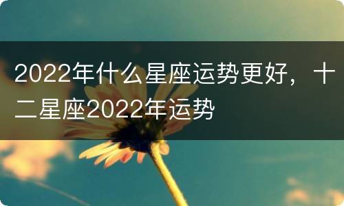 2022年什么星座运势更好，十二星座2022年运势
