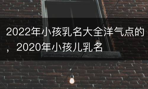 2022年小孩乳名大全洋气点的，2020年小孩儿乳名