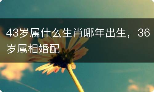 43岁属什么生肖哪年出生，36岁属相婚配