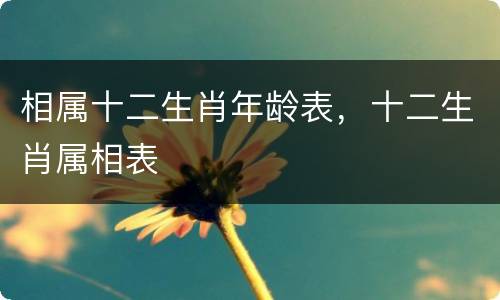 相属十二生肖年龄表，十二生肖属相表
