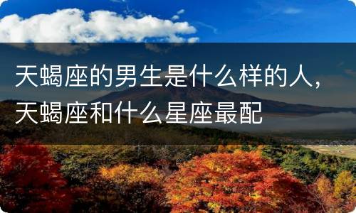 天蝎座的男生是什么样的人，天蝎座和什么星座最配