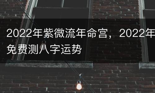 2022年紫微流年命宫，2022年免费测八字运势