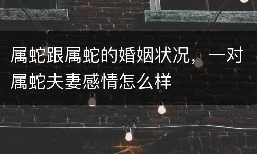 属蛇跟属蛇的婚姻状况，一对属蛇夫妻感情怎么样