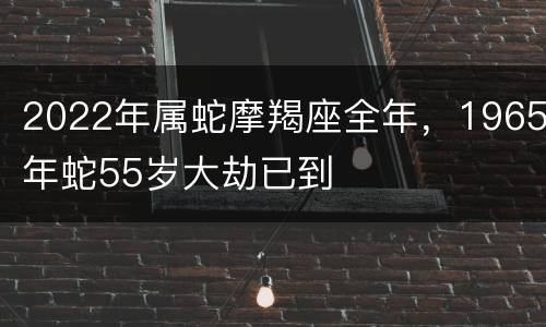 2022年属蛇摩羯座全年，1965年蛇55岁大劫已到