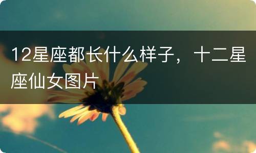 12星座都长什么样子，十二星座仙女图片