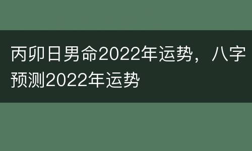 丙卯日男命2022年运势，八字预测2022年运势