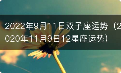 2022年9月11日双子座运势（2020年11月9日12星座运势）