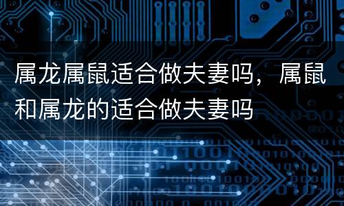 属龙属鼠适合做夫妻吗，属鼠和属龙的适合做夫妻吗