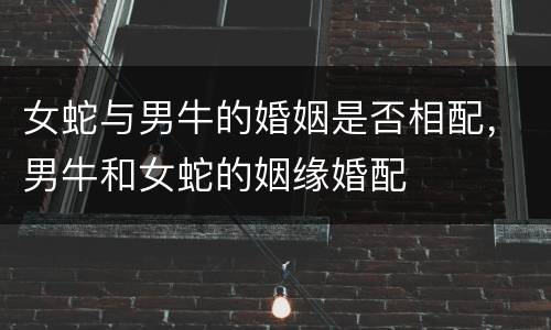 女蛇与男牛的婚姻是否相配，男牛和女蛇的姻缘婚配