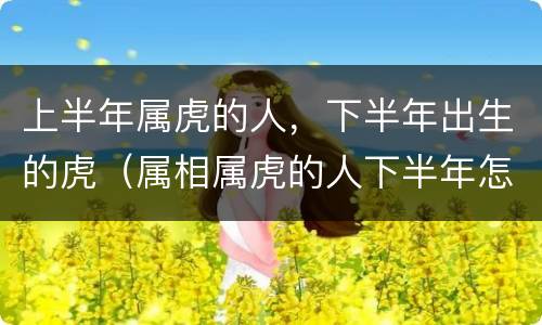 上半年属虎的人，下半年出生的虎（属相属虎的人下半年怎么样）