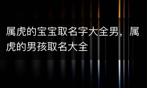 属虎的宝宝取名字大全男，属虎的男孩取名大全