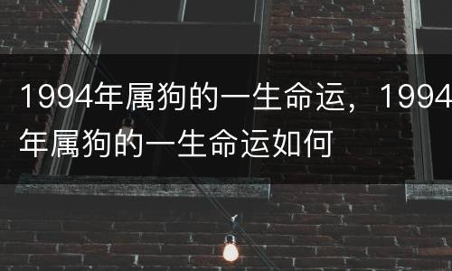 1994年属狗的一生命运，1994年属狗的一生命运如何