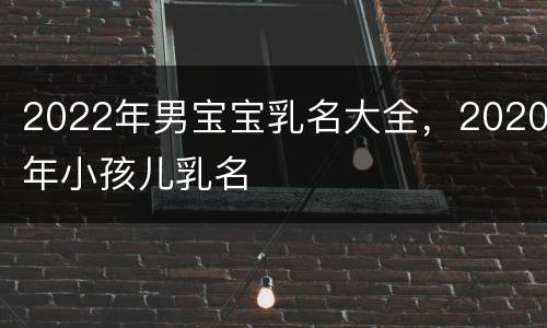 2022年男宝宝乳名大全，2020年小孩儿乳名