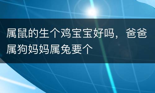 属鼠的生个鸡宝宝好吗，爸爸属狗妈妈属兔要个