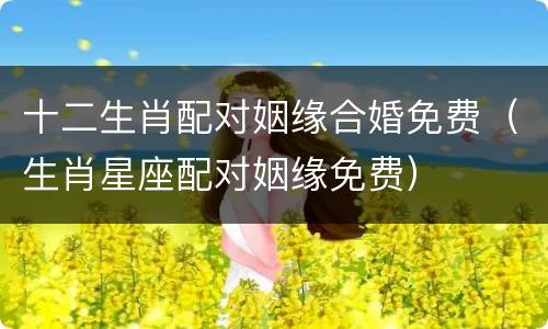 十二生肖配对姻缘合婚免费（生肖星座配对姻缘免费）